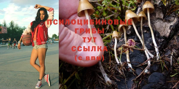 тгк Семилуки