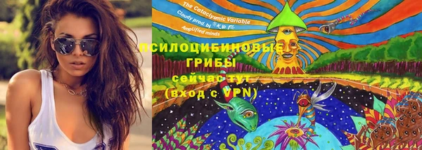 spice Семикаракорск