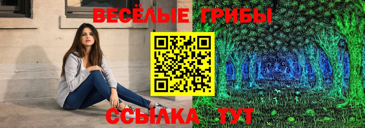 Россия  Галлюциногенные грибы GOLDEN TEACHER  Вход с VPN 